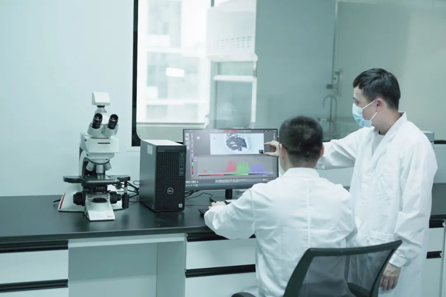 bwin����Ӯ(�й�)Ψһ�ٷ���վ