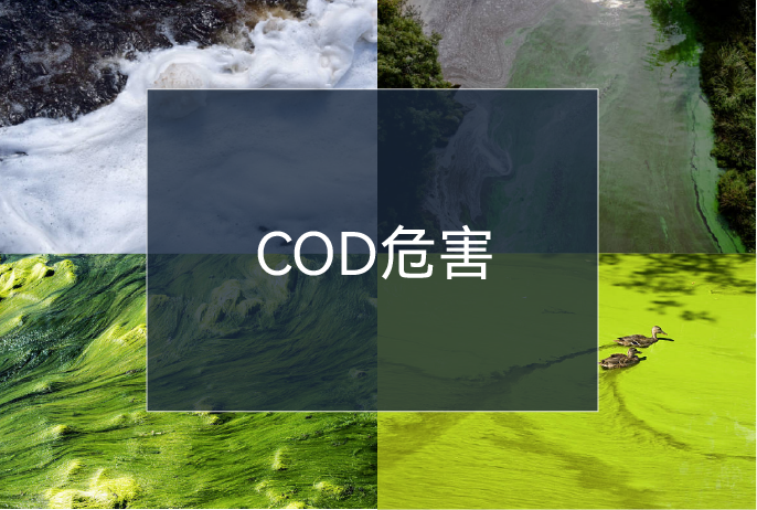 bwin����Ӯ(�й�)Ψһ�ٷ���վ